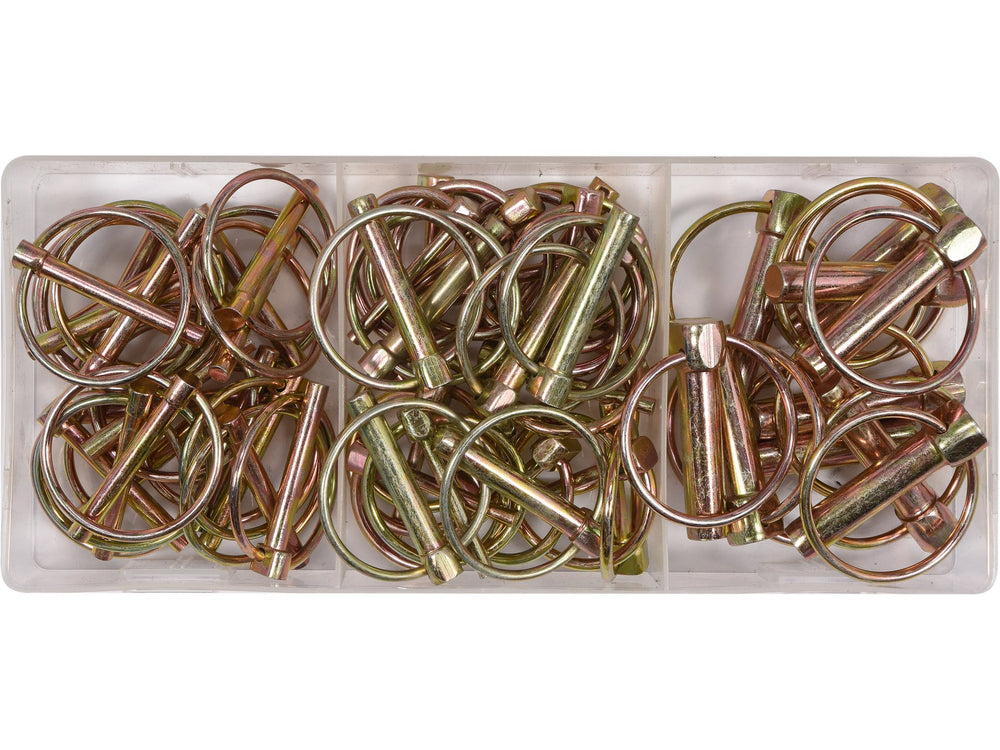 ASSORTIMENT DE 50 GRIPPES DE YNCH YT-06787